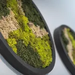 Апартаменты Forest - Teutoburger Wald Wlan Zentral Ruhig Parkplatz Anbindung Bielefeld