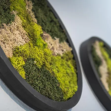 Lägenhet Forest - Teutoburger Wald Wlan Zentral Ruhig Parkplatz Anbindung Bielefeld