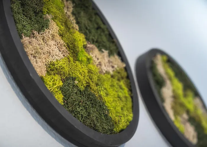 Apartment Forest - Teutoburger Wald Wlan Zentral Ruhig Parkplatz Anbindung Bielefeld